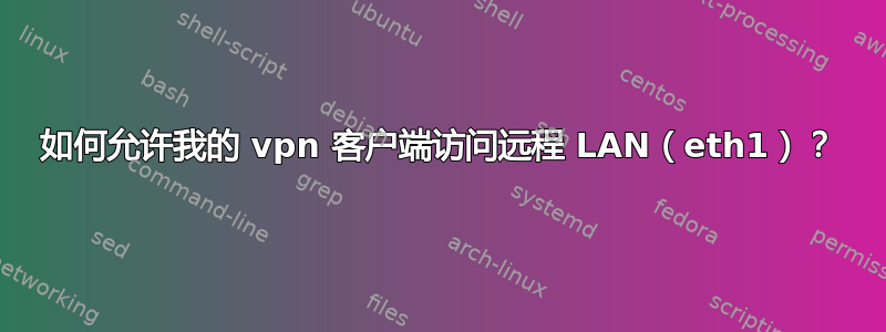 如何允许我的 vpn 客户端访问远程 LAN（eth1）？