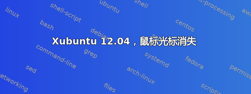 Xubuntu 12.04，鼠标光标消失