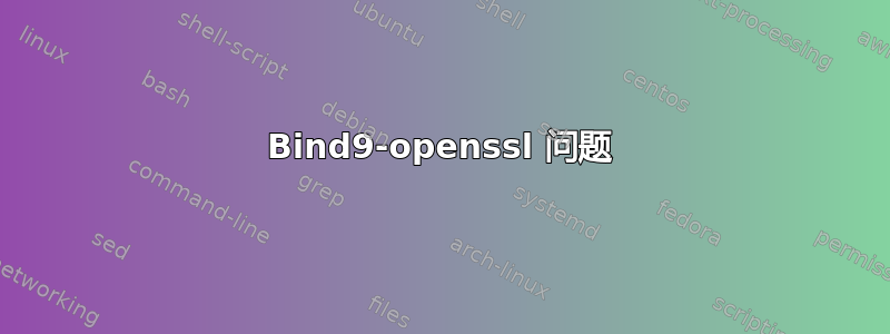 Bind9-openssl 问题