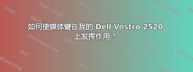 如何使媒体键在我的 Dell Vostro 2520 上发挥作用？