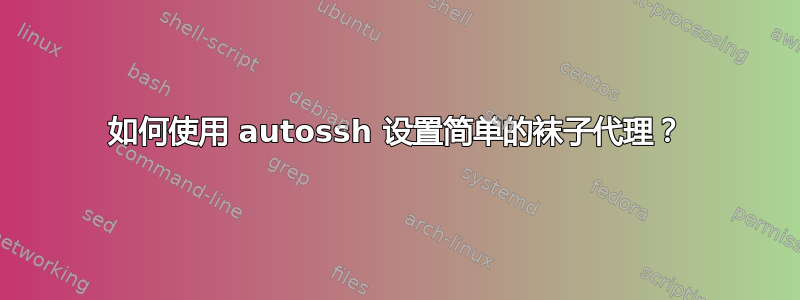 如何使用 autossh 设置简单的袜子代理？