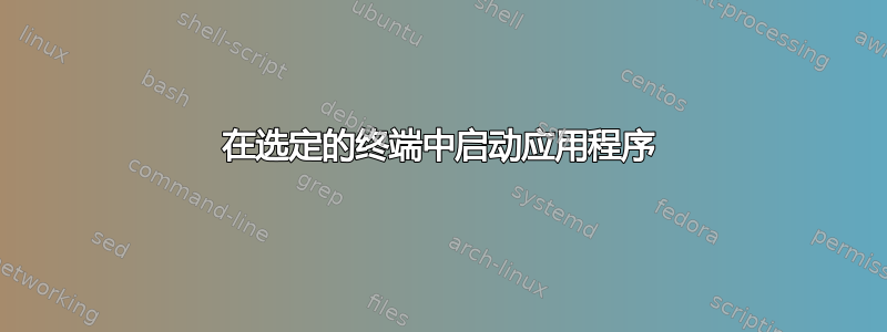 在选定的终端中启动应用程序