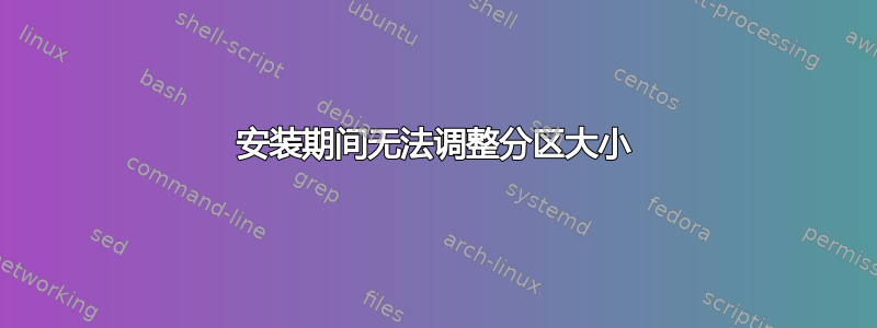 安装期间无法调整分区大小