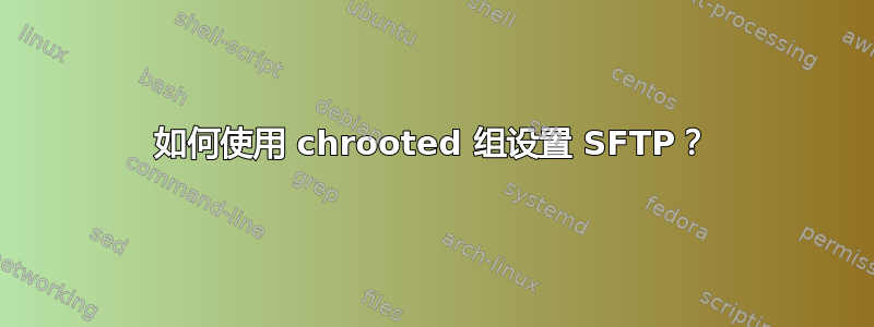 如何使用 chrooted 组设置 SFTP？