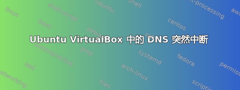 Ubuntu VirtualBox 中的 DNS 突然中断