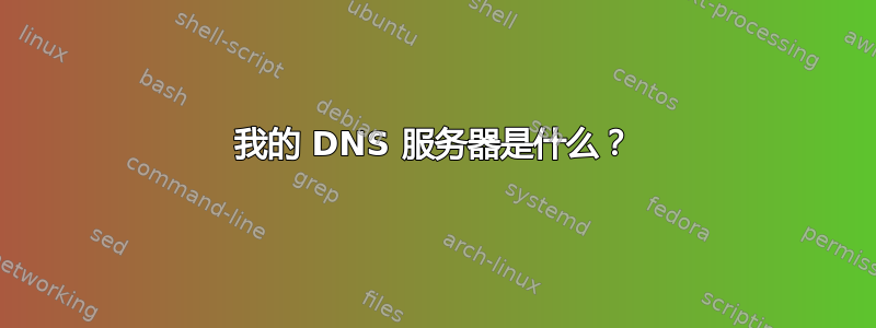 我的 DNS 服务器是什么？