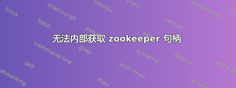 无法内部获取 zookeeper 句柄