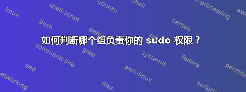 如何判断哪个组负责你的 sudo 权限？