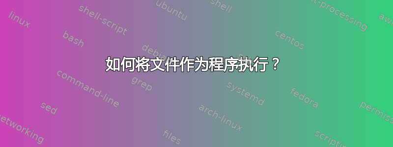 如何将文件作为程序执行？