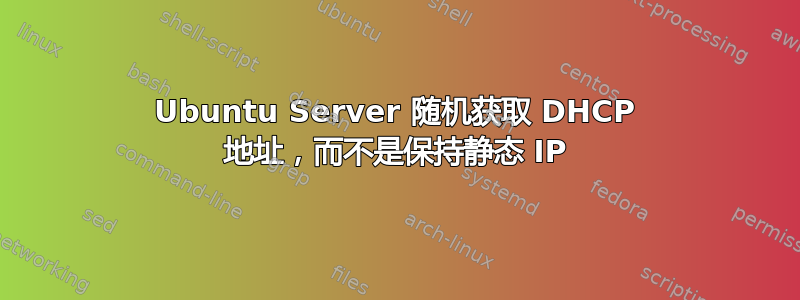 Ubuntu Server 随机获取 DHCP 地址，而不是保持静态 IP