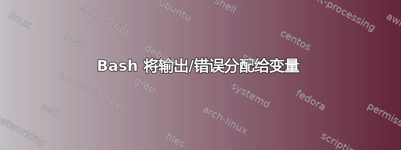 Bash 将输出/错误分配给变量