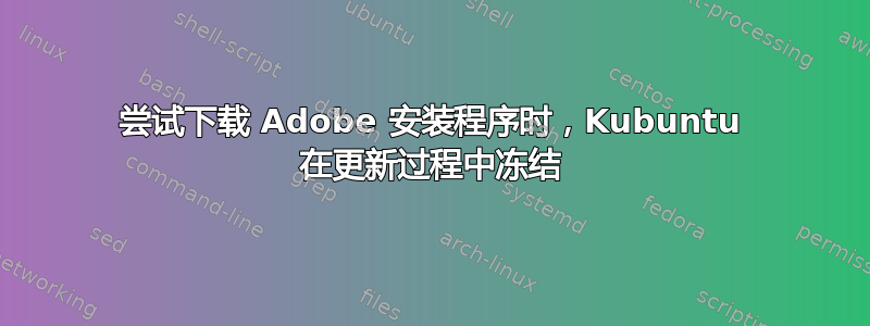 尝试下载 Adob​​e 安装程序时，Kubuntu 在更新过程中冻结