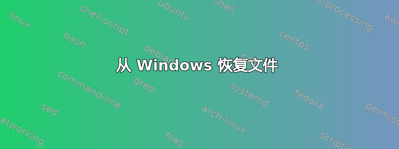 从 Windows 恢复文件