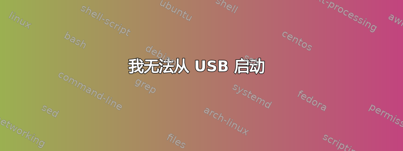 我无法从 USB 启动 