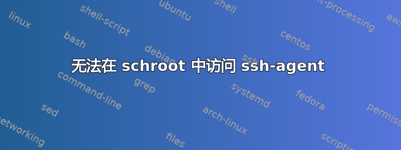 无法在 schroot 中访问 ssh-agent