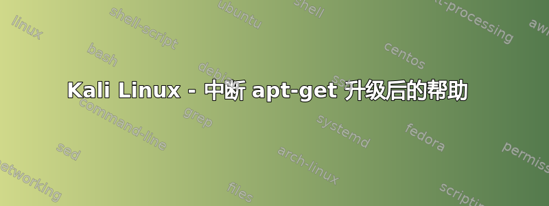 Kali Linux - 中断 apt-get 升级后的帮助 