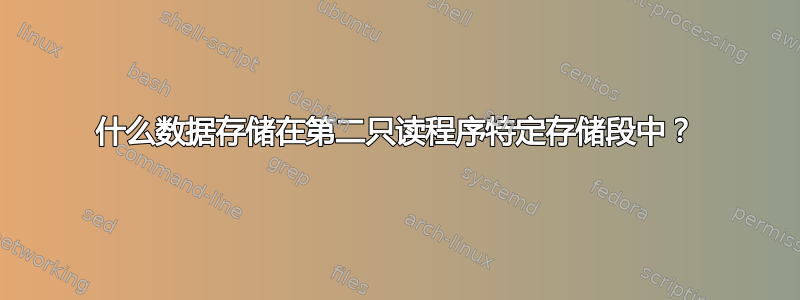 什么数据存储在第二只读程序特定存储段中？