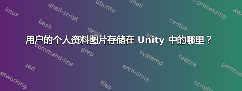 用户的个人资料图片存储在 Unity 中的哪里？