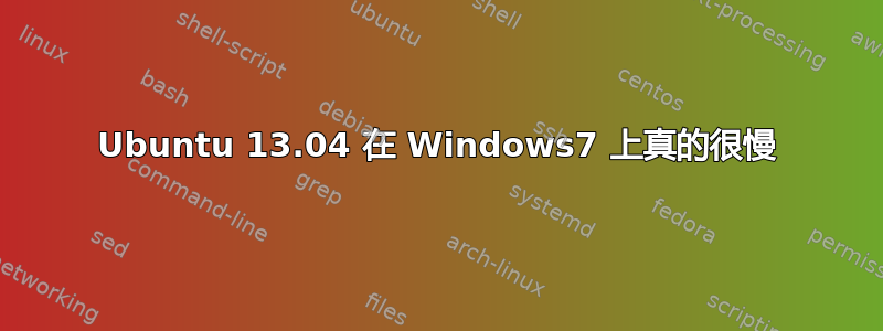 Ubuntu 13.04 在 Windows7 上真的很慢