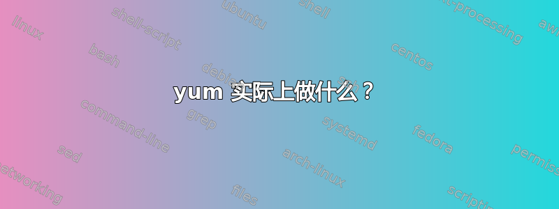 yum 实际上做什么？