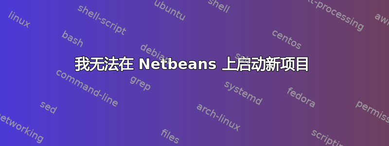 我无法在 Netbeans 上启动新项目