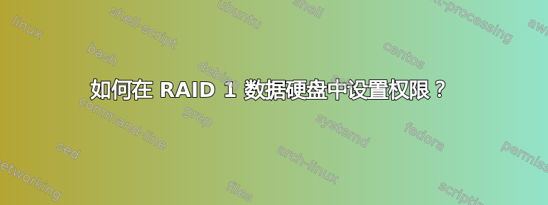 如何在 RAID 1 数据硬盘中设置权限？