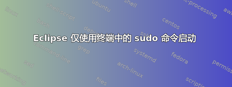 Eclipse 仅使用终端中的 sudo 命令启动