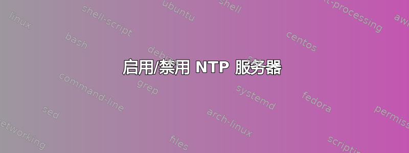 启用/禁用 NTP 服务器