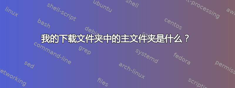 我的下载文件夹中的主文件夹是什么？