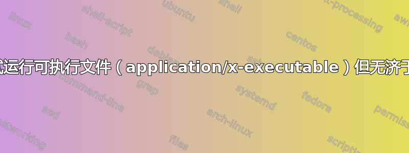 尝试运行可执行文件（application/x-executable）但无济于事