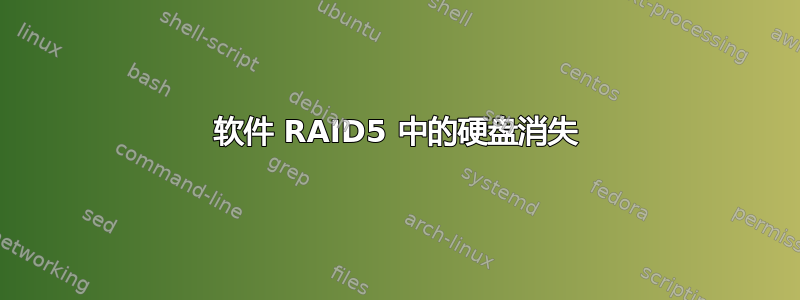 软件 RAID5 中的硬盘消失