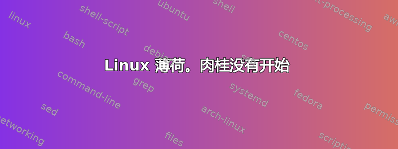 Linux 薄荷。肉桂没有开始