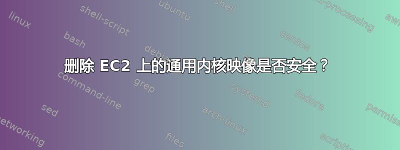 删除 EC2 上的通用内核映像是否安全？