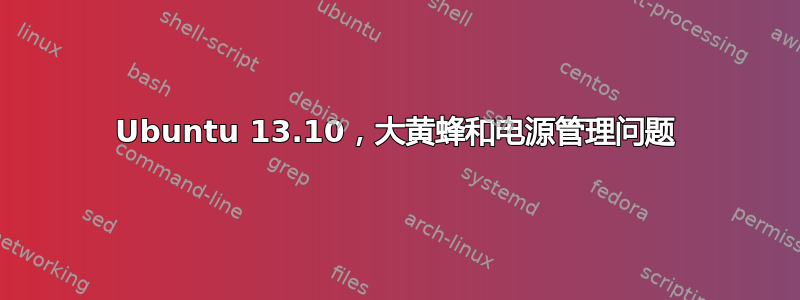 Ubuntu 13.10，大黄蜂和电源管理问题