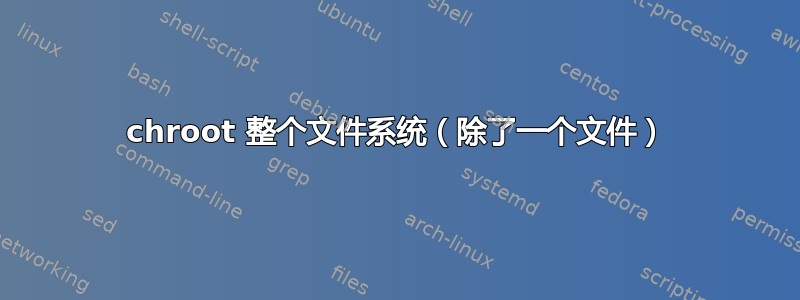 chroot 整个文件系统（除了一个文件）