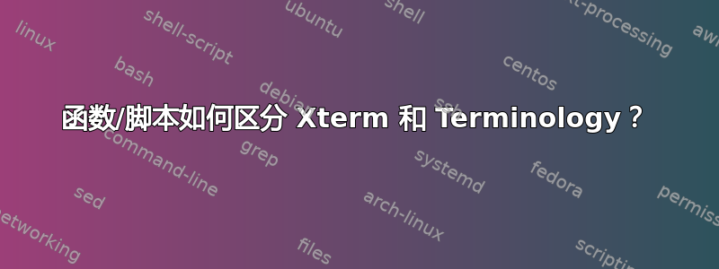 函数/脚本如何区分 Xterm 和 Terminology？