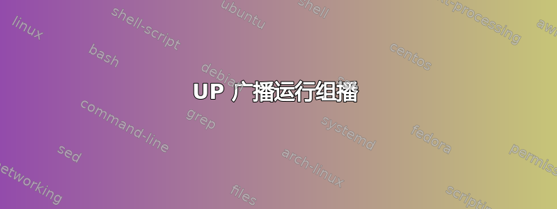 UP 广播运行组播