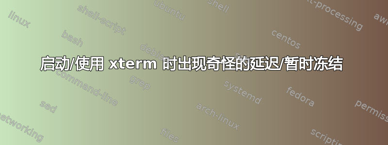 启动/使用 xterm 时出现奇怪的延迟/暂时冻结