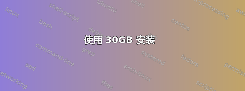 使用 30GB 安装 