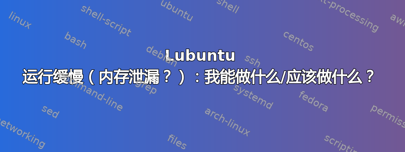 Lubuntu 运行缓慢（内存泄漏？）：我能做什么/应该做什么？