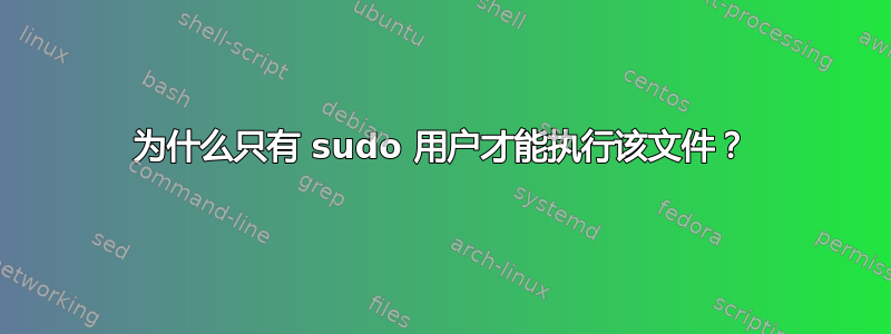 为什么只有 sudo 用户才能执行该文件？