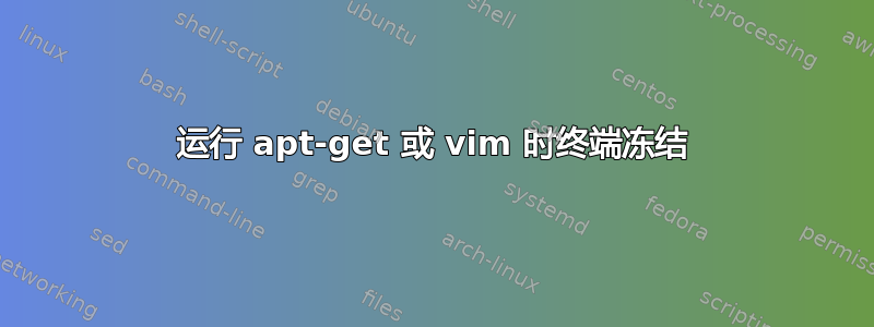 运行 apt-get 或 vim 时终端冻结