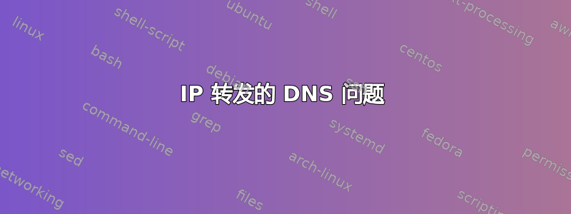 IP 转发的 DNS 问题