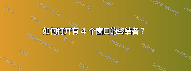 如何打开有 4 个窗口的终结者？