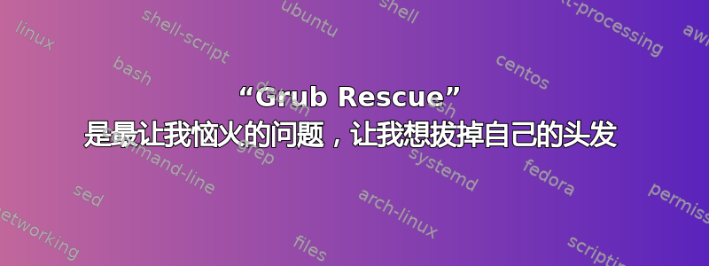 “Grub Rescue” 是最让我恼火的问题，让我想拔掉自己的头发