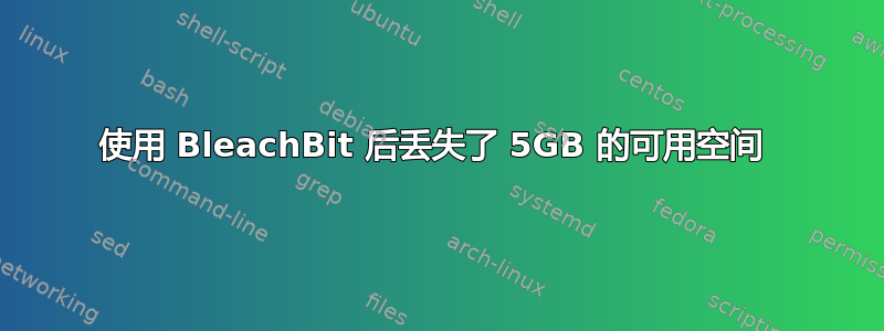 使用 BleachBit 后丢失了 5GB 的可用空间 