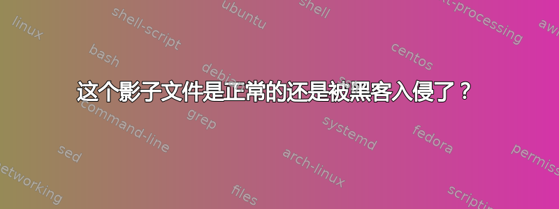 这个影子文件是正常的还是被黑客入侵了？