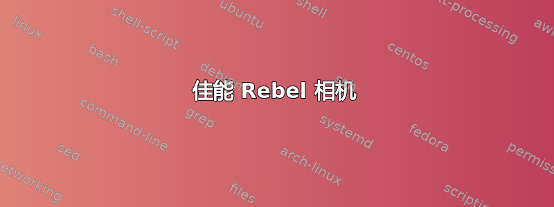 佳能 Rebel 相机