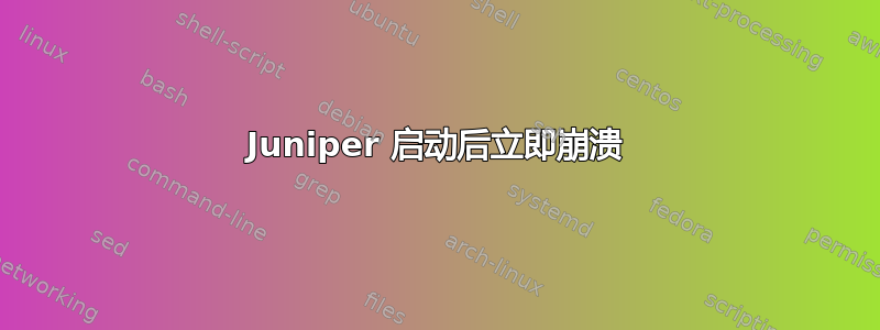 Juniper 启动后立即崩溃