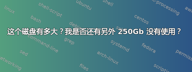 这个磁盘有多大？我是否还有另外 250Gb 没有使用？